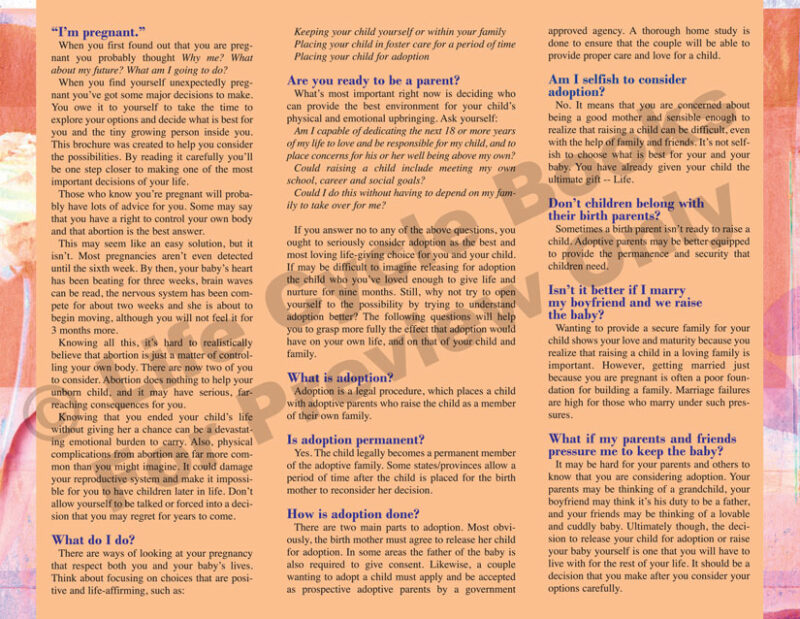 Brochure - Adoption: A Loving Choice - Image 3