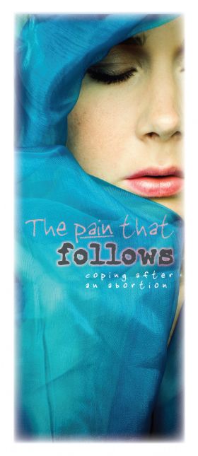 Brochure - The Pain That Follows