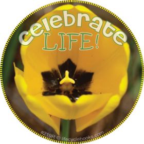 Sticker - Celebrate Life! - Roll of 500