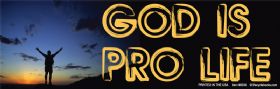 Bumper Sticker - God is Pro Life