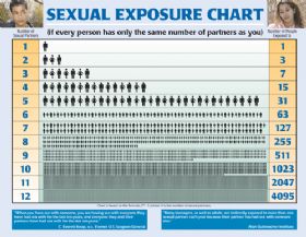Poster - Sexual Exposure Chart - LAMINATED