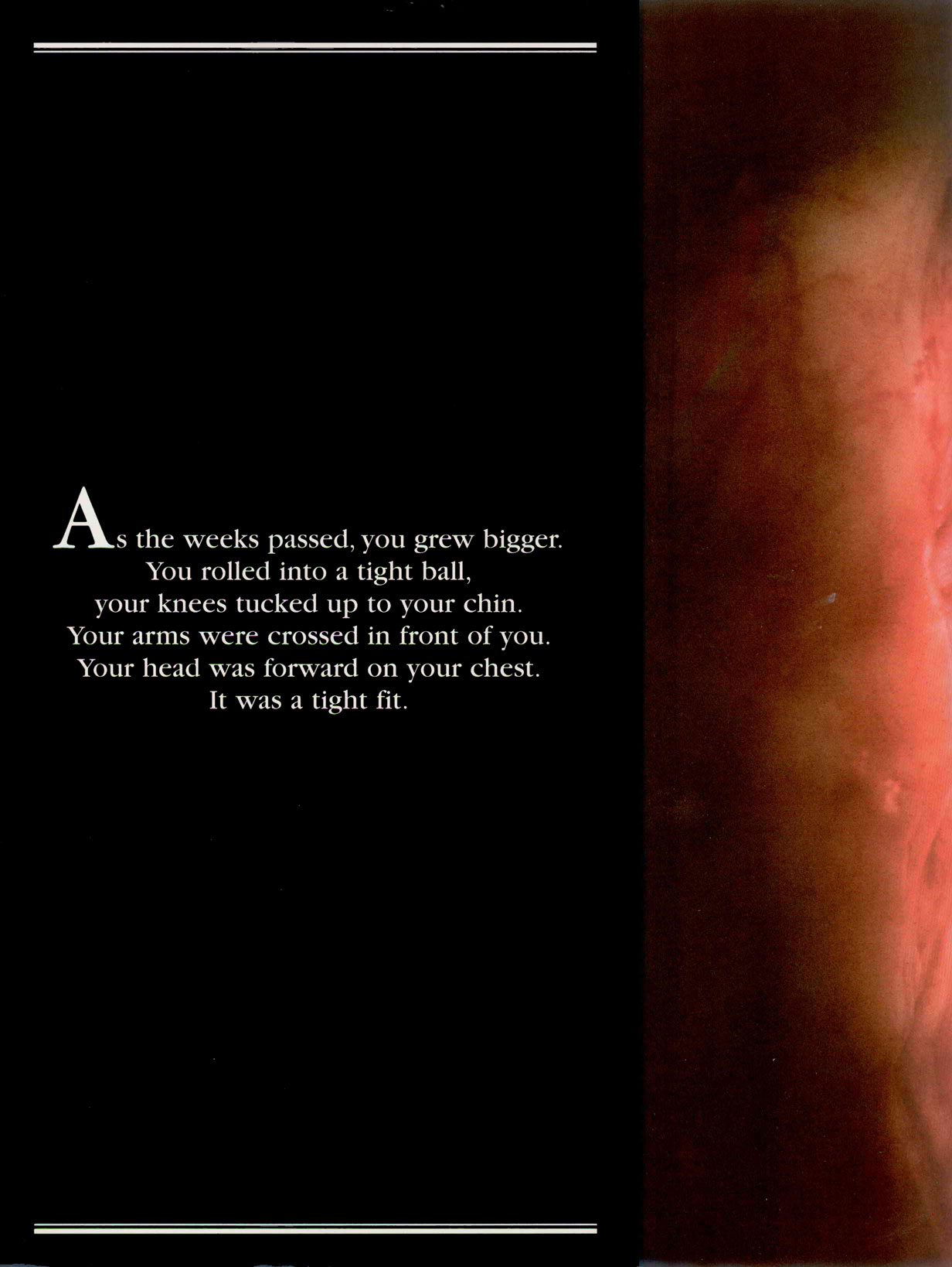 Book - Being Born-44