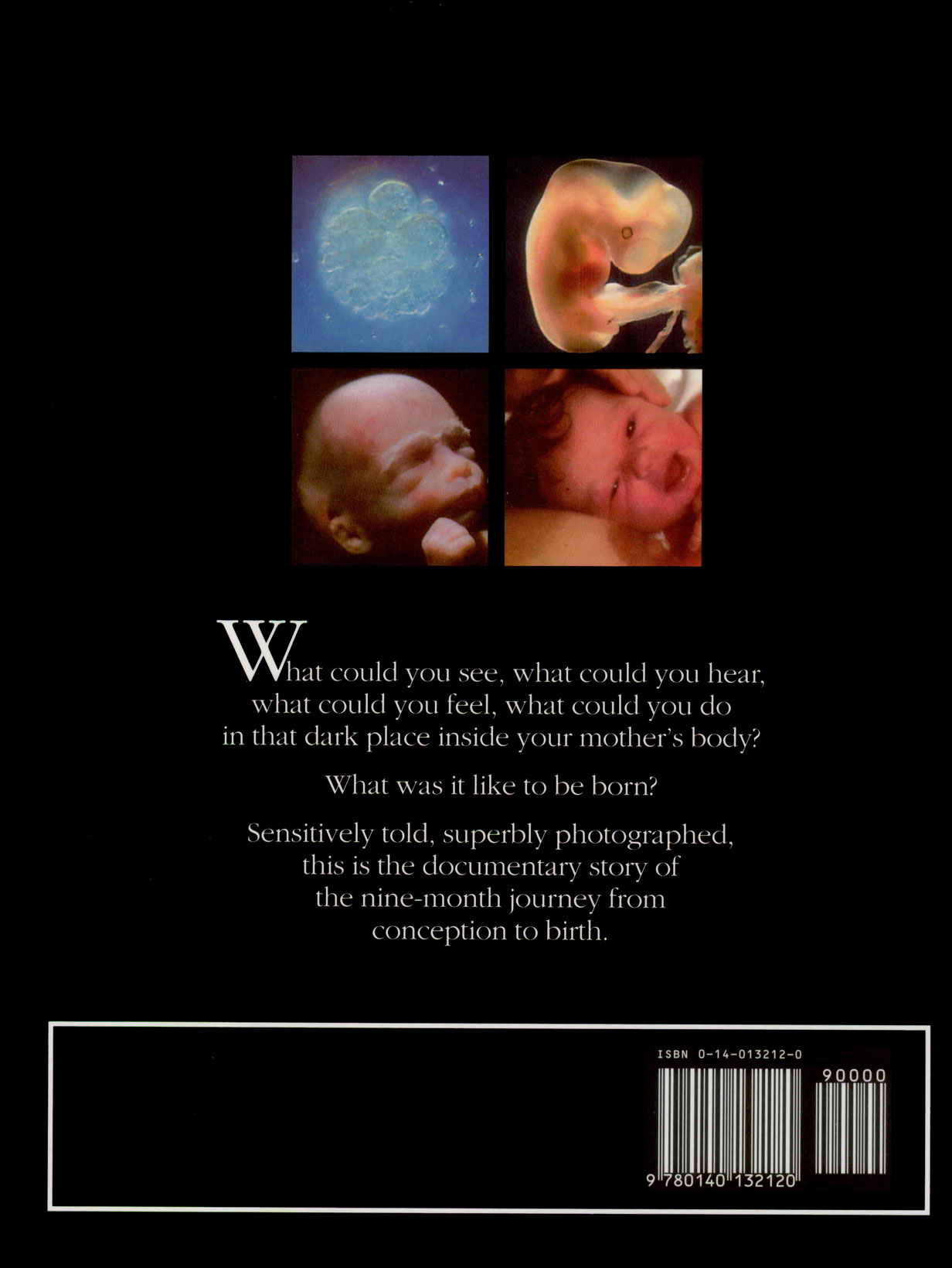 Book - Being Born-backcover