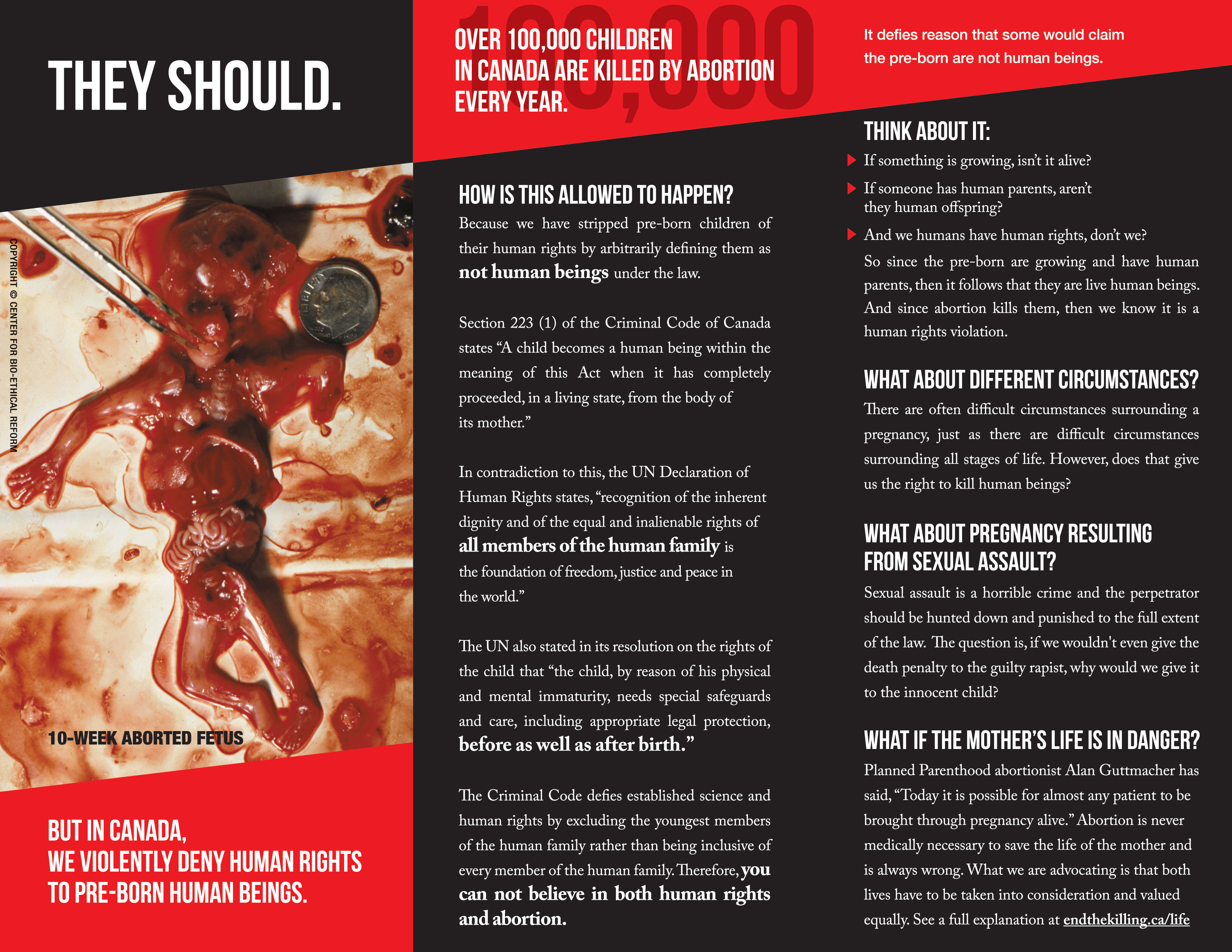 Brochure - Human Rights