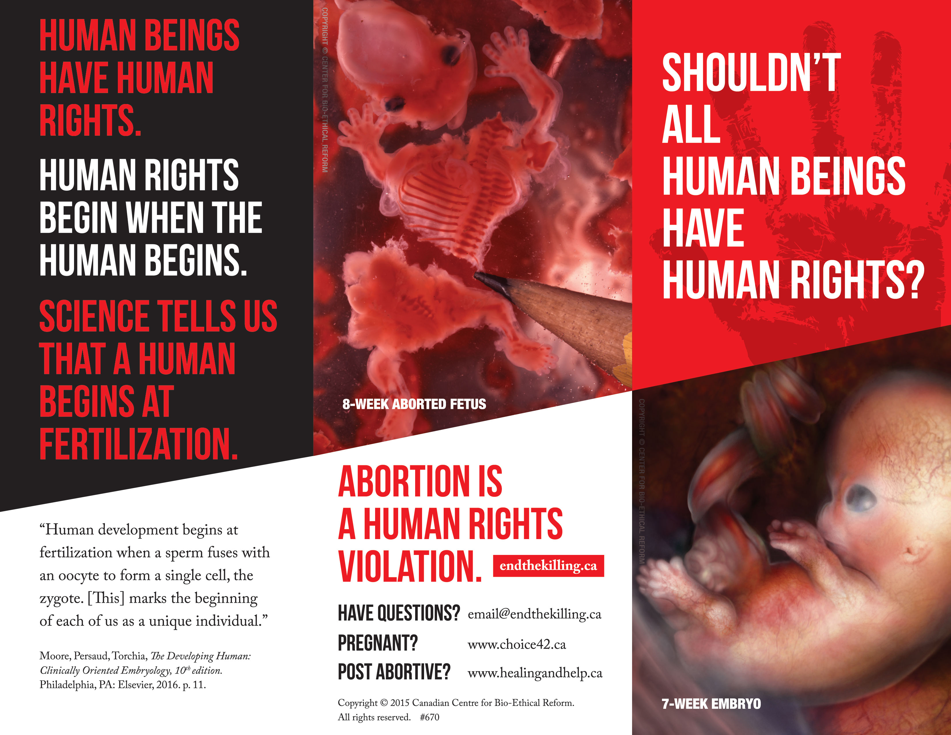 Brochure - Human Rights