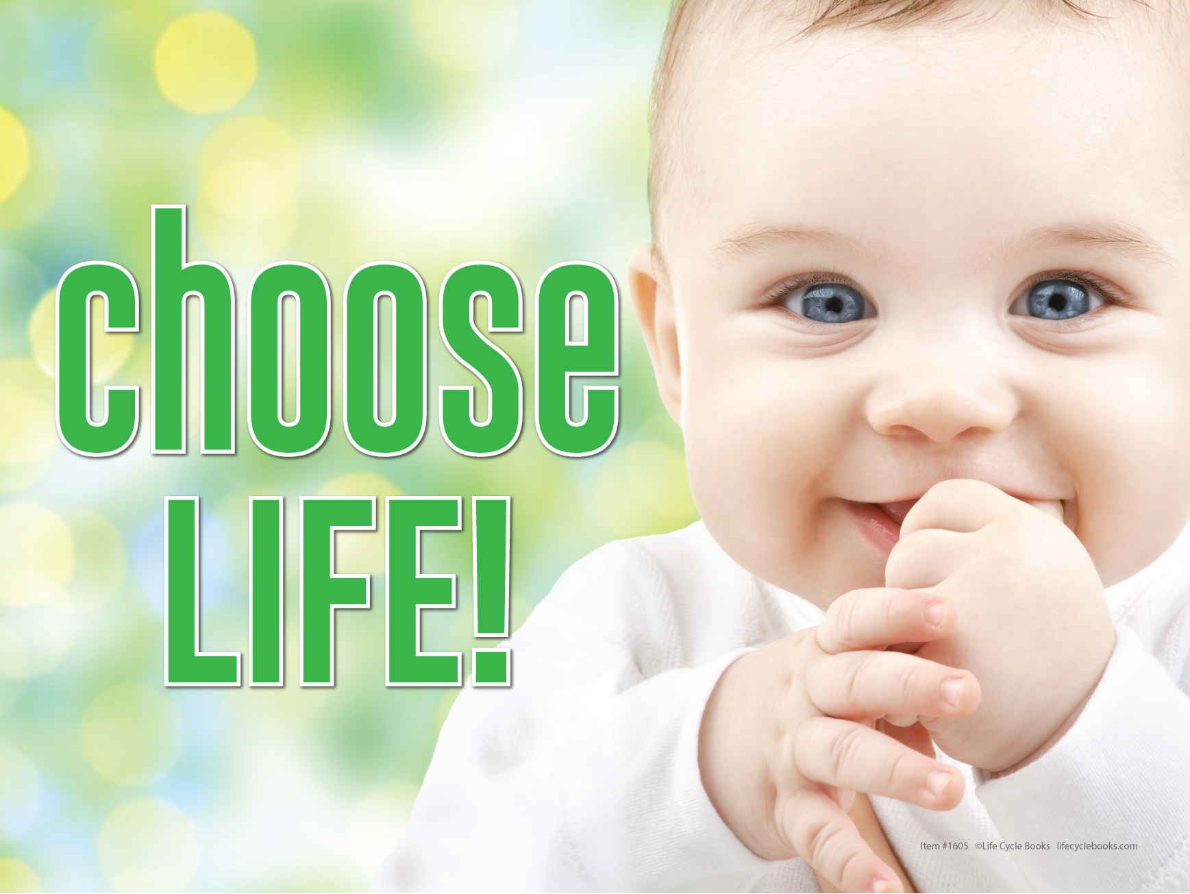 Rally Sign - Choose Life - 24" by 16"