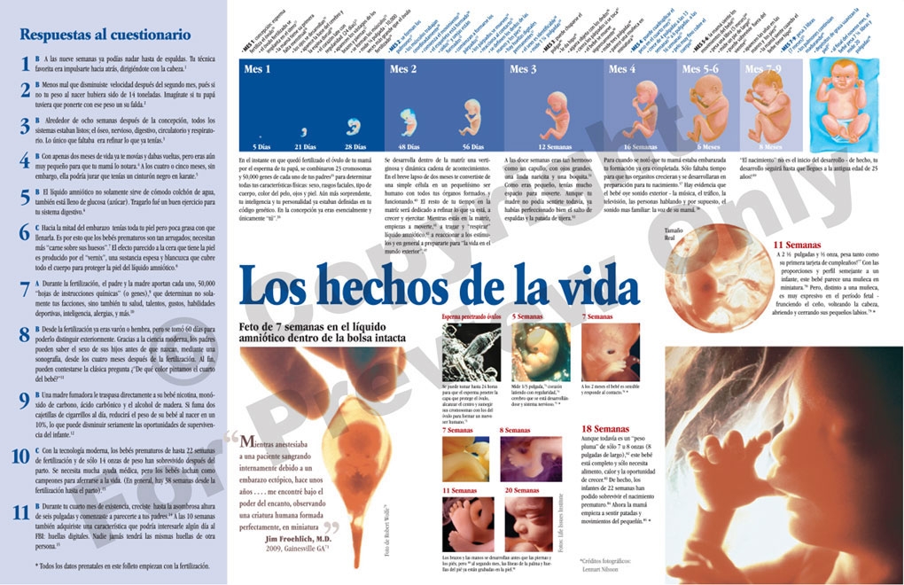 Brochure - Lo Que Nunca te Dijeron Acerca de la Vida