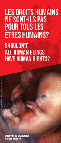 Brochure-HumanRights-bilingual