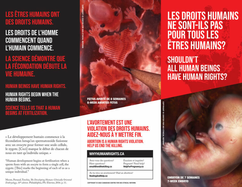 Brochure - Human Rights - Bilingual - Image 2