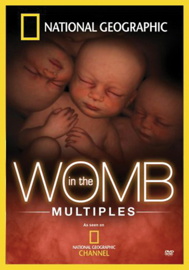 DVD - In the Womb - Multiples