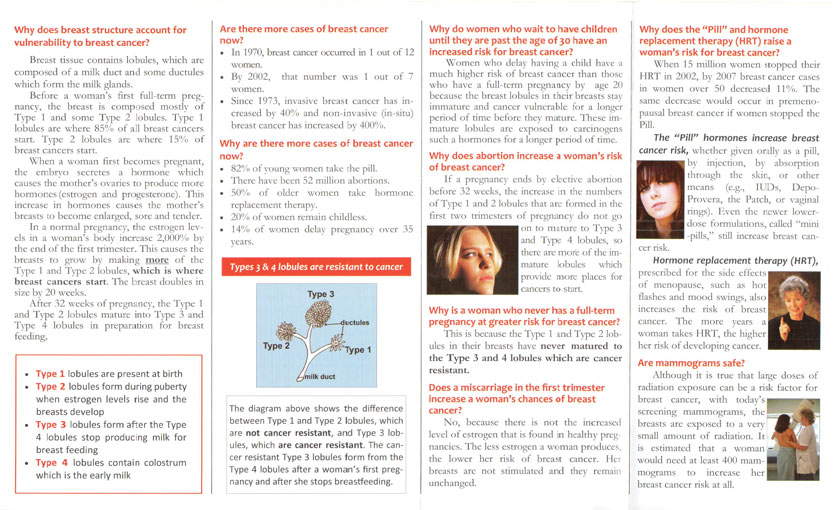 Brochure - The WHYs of Breast Cancer - Image 3