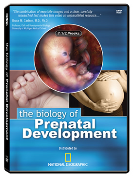 DVD - The Biology of Prenatal Development