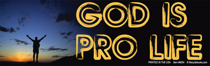 Magnetic Bumper Sticker - God is Pro Life