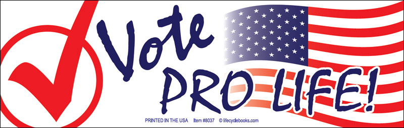 Bumper Sticker - Vote Pro Life