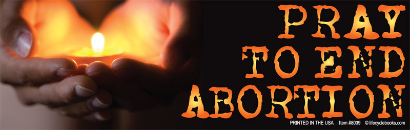 Bumper Sticker - Pray to End Abortion