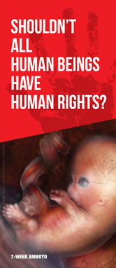 Brochure - Human Rights