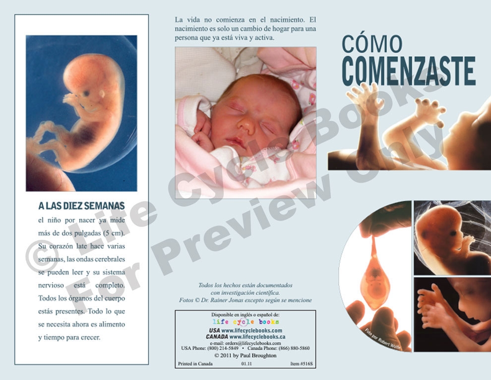 Brochure - Cómo Comenzaste (How You Began) - Spanish