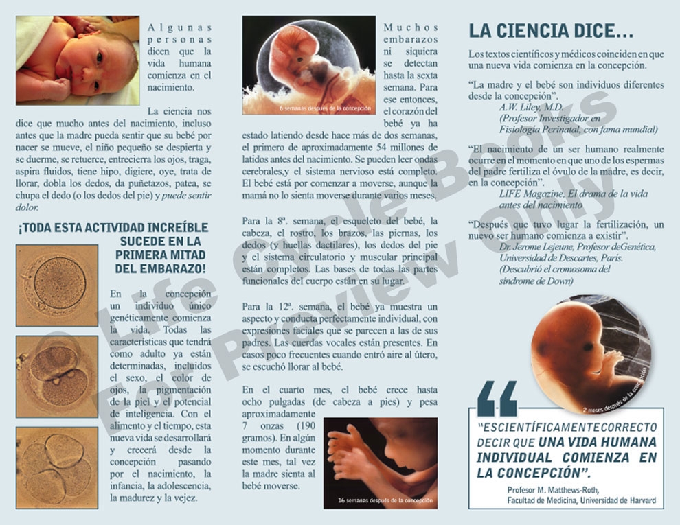 Brochure - Cómo Comenzaste (How You Began) - Spanish